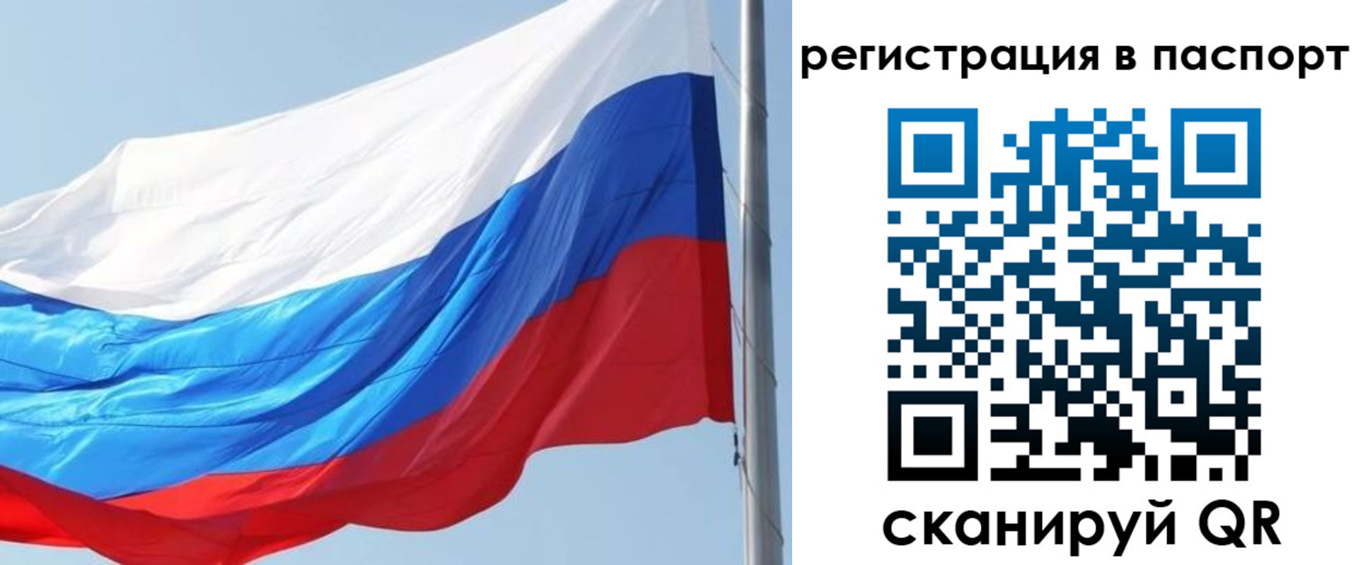прописка законно в Таганроге